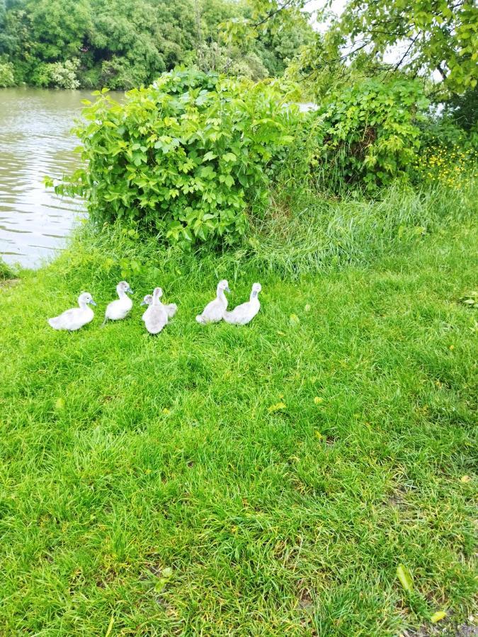Apartman Na Jezeru Zágráb Kültér fotó