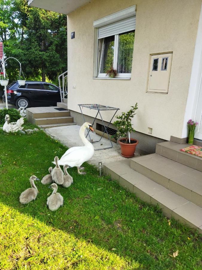 Apartman Na Jezeru Zágráb Kültér fotó