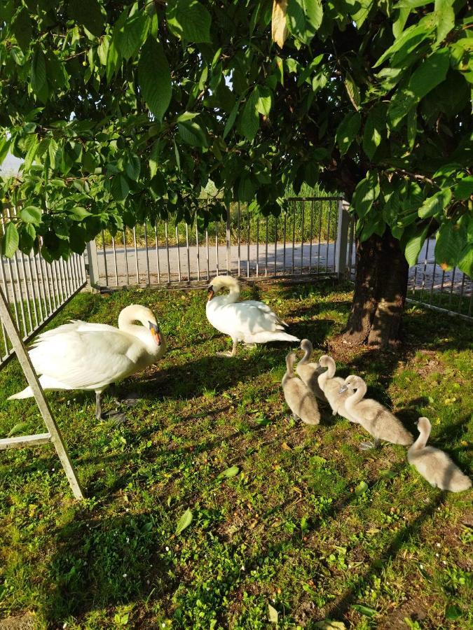 Apartman Na Jezeru Zágráb Kültér fotó